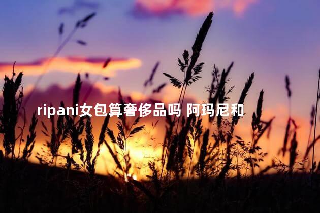 ripani女包算奢侈品吗 阿玛尼和mk包包哪个档次高